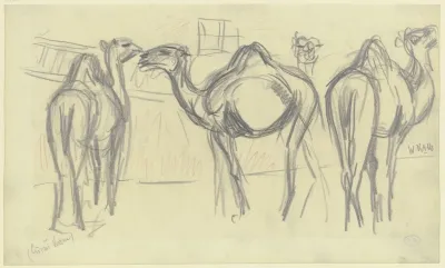 Camels Circus Krone