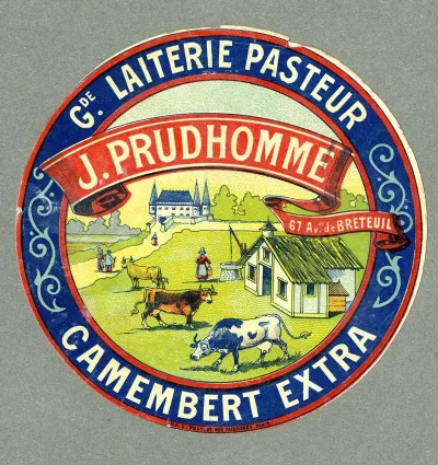 Camembert Extra 2