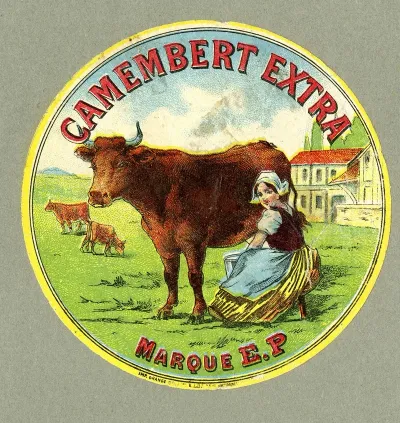 Camembert Extra 3