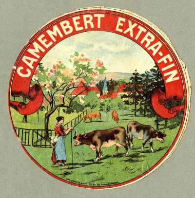 Camembert Extra Fin 4