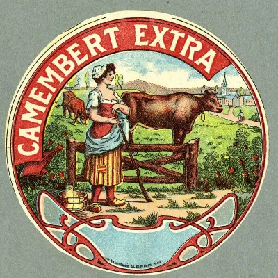 Camembert Extra