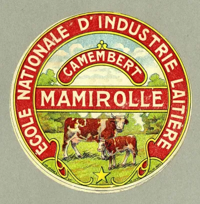 Camembert Mamirolle