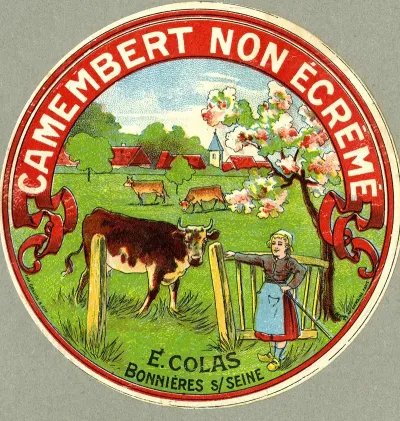 Camembert Non Ecreme