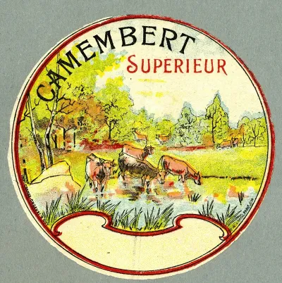 Camembert Superieur 2