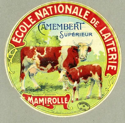 Camembert Superieur 3