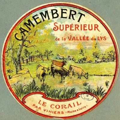Camembert Superieur De La Vallee Du Lys