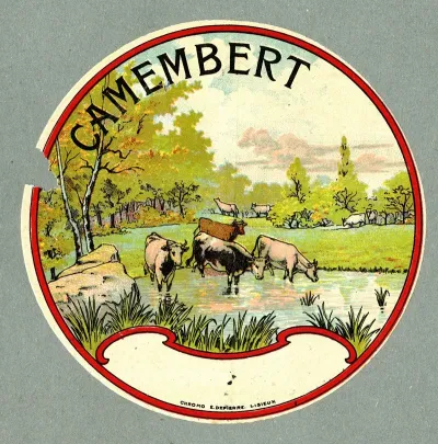 Camembert