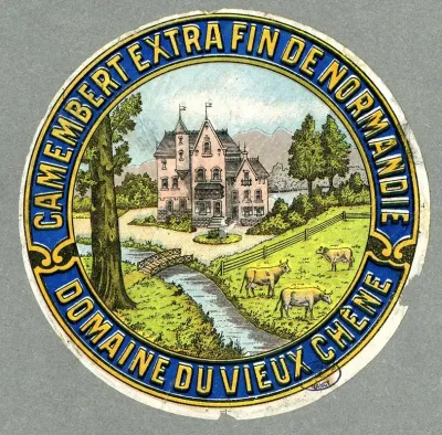 Camenbert Extra Fin De Normandie