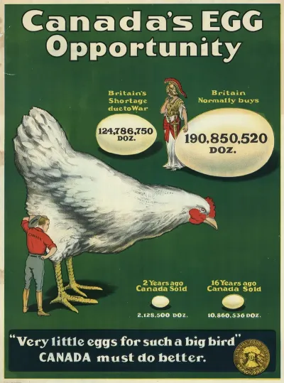 Canadas Egg Opportunity