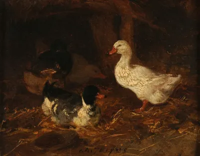 Canards Dans Une Basse Cour