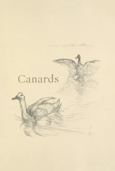 Canards