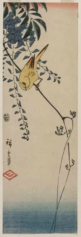 Canary And Wisteria