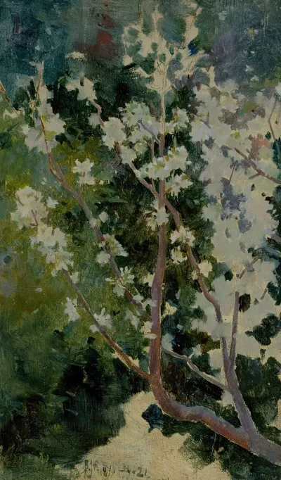Capri 11