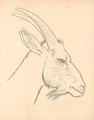 Capricorn Head