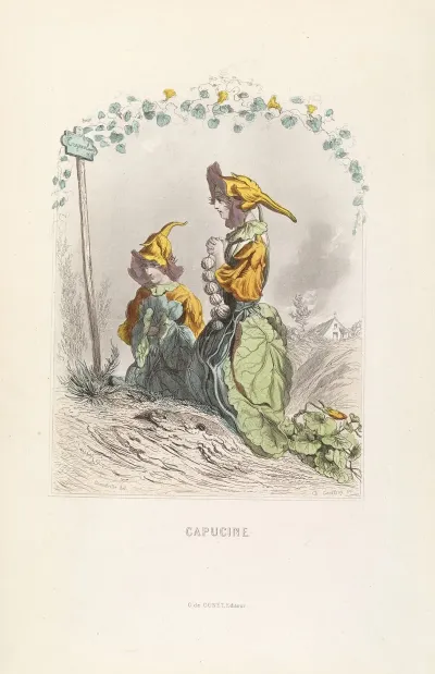 Capucine 5
