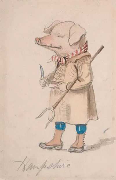 Caricature Of The County Hampshire