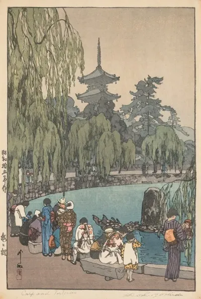 Carp And Tortoises