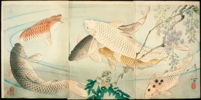 Carp With Wisteria
