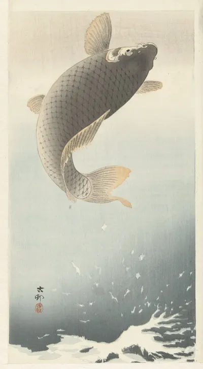 Carp