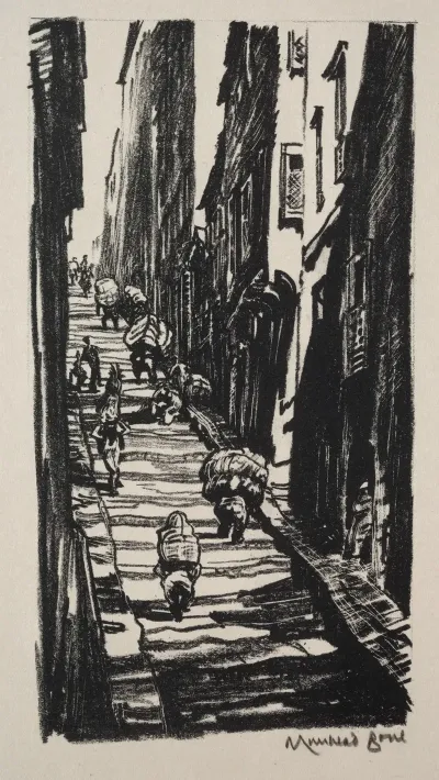 Carpet Porters Pera