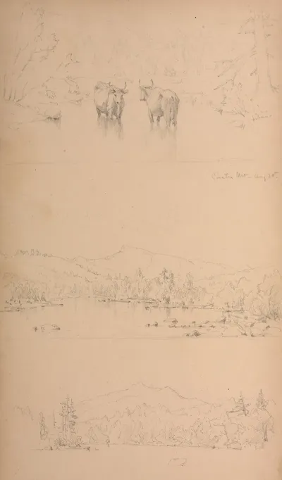 Carter Mt