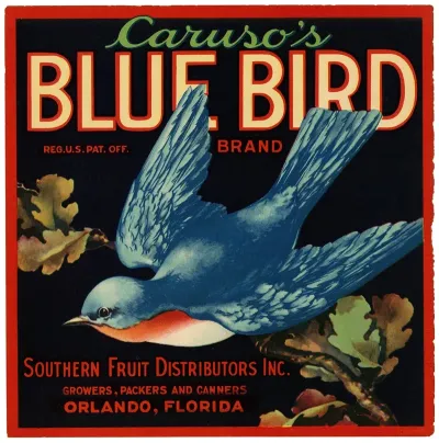 Carusos Blue Bird Brand Fruit Label