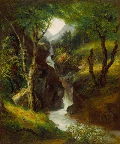 Cascade In The Forest