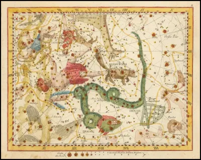 Cassiopea Cepheus Der Kleine Bar Drache