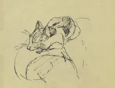 Cat 13
