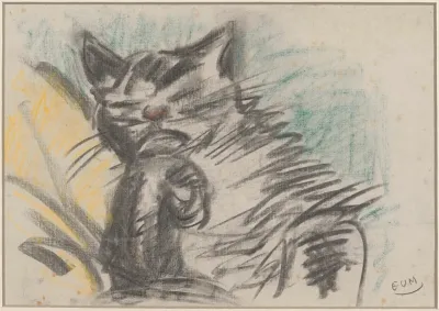 Cat 2