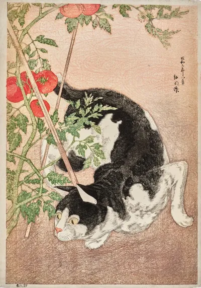 Cat And Tomato Plant