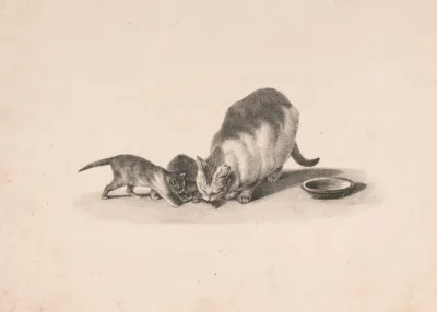 Cat And Two Kittens With A Mouse