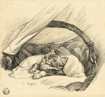 Cat Asleep In Basket