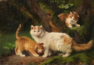 Cat Family Playing In The Forest