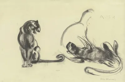 Cats 18