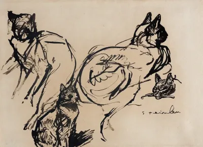 Cats 2