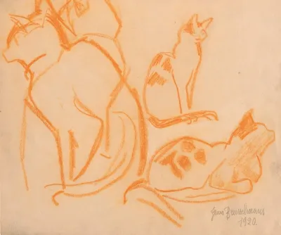Cats 4