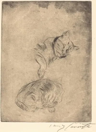 Cats Katzenstudie