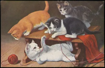 Cats Playing With Knitting And A Ball Of Wool