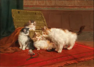 Cats