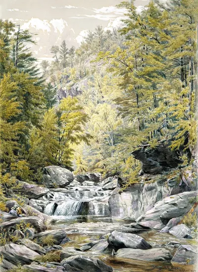 Catskill Clove