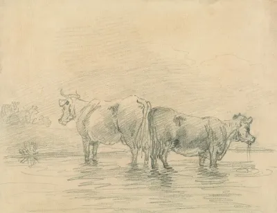 Cattle 3