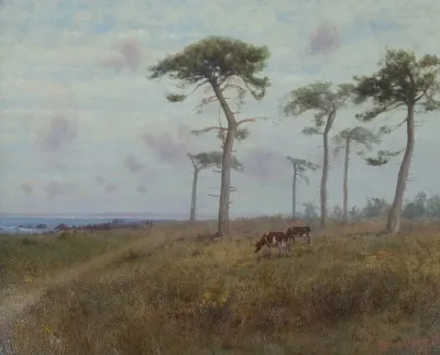 Cattle Grazing Among Monterey Cypress Trees