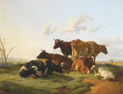 Cattle Grazing In Canterbury Meadows