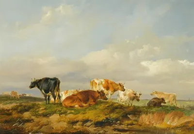 Cattle In A Kent Meadow