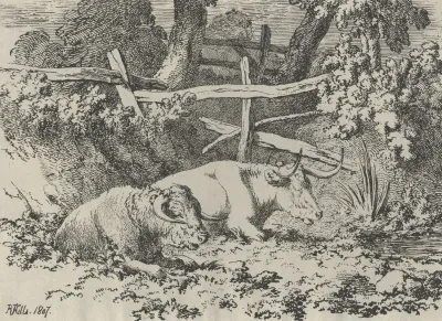 Cattle Resting