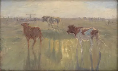 Cattle Seen Against The Sun On The Island Of Saltholm