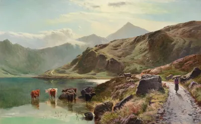 Cattle Watering Near Snowdonia