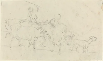 Cattle
