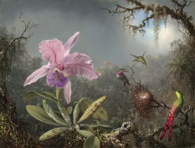 Cattleya Orchid And Three Hummingbirds